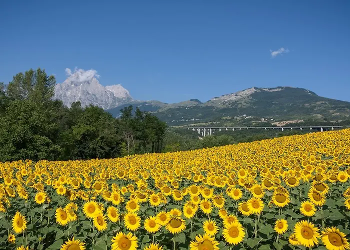 Отель Del Parco 3*